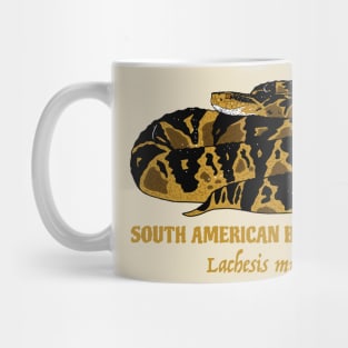 South American Bushmaster Lachesis Muta Mug